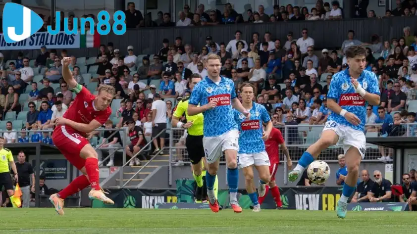 Wollongong Wolves và Marconi Stallions nhiều khả năng sẽ tạo nên một trận đấu kịch tính và khó lường.